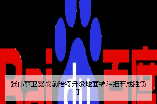 张伟丽卫冕战前陪练升级地面缠斗细节成胜负手