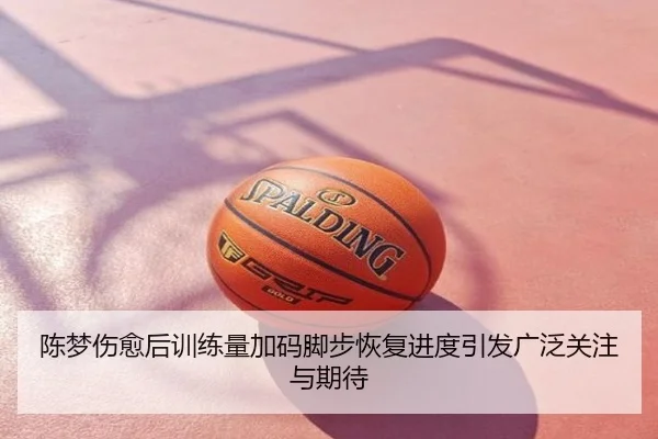 陈梦伤愈后训练量加码脚步恢复进度引发广泛关注与期待
